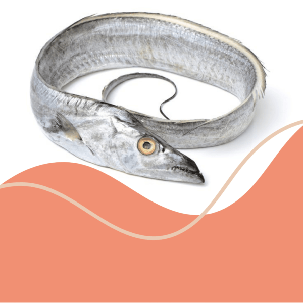 Dry Ribbon fish