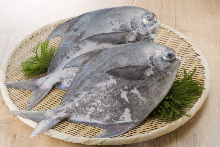 Steamed Pomfret Fish in basket