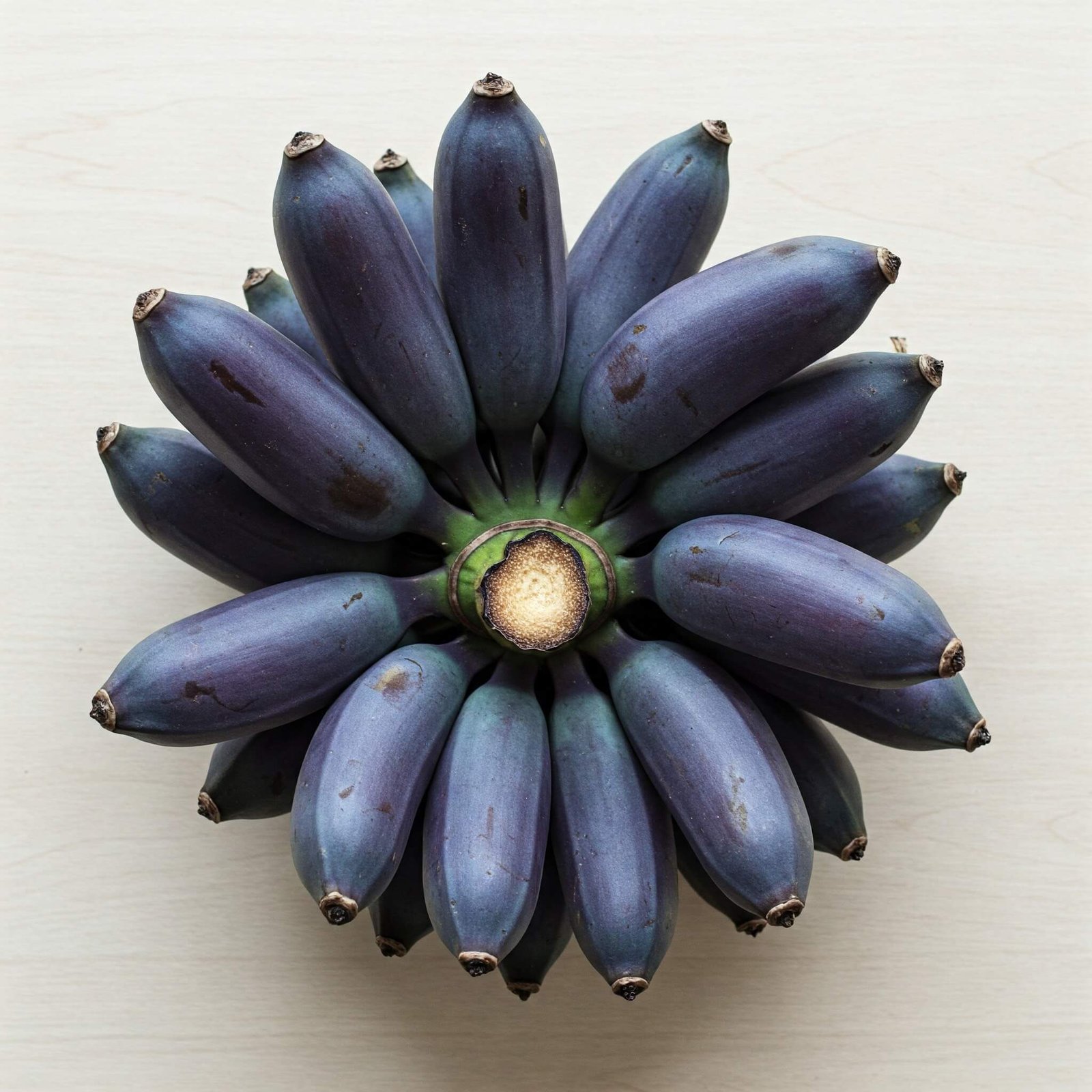 The Blue Java Banana: Nature’s Vanilla Ice Cream on a Tree 1 bunch of Blue Java Banana on table